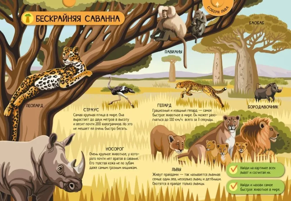 Animals of the World
