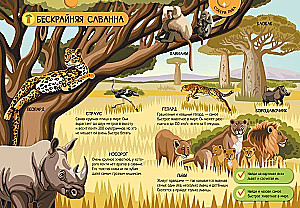 Animals of the World