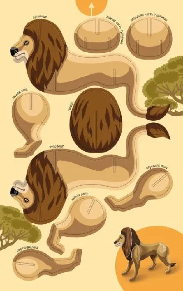 Animals of the World