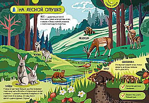 Animals of the Forest