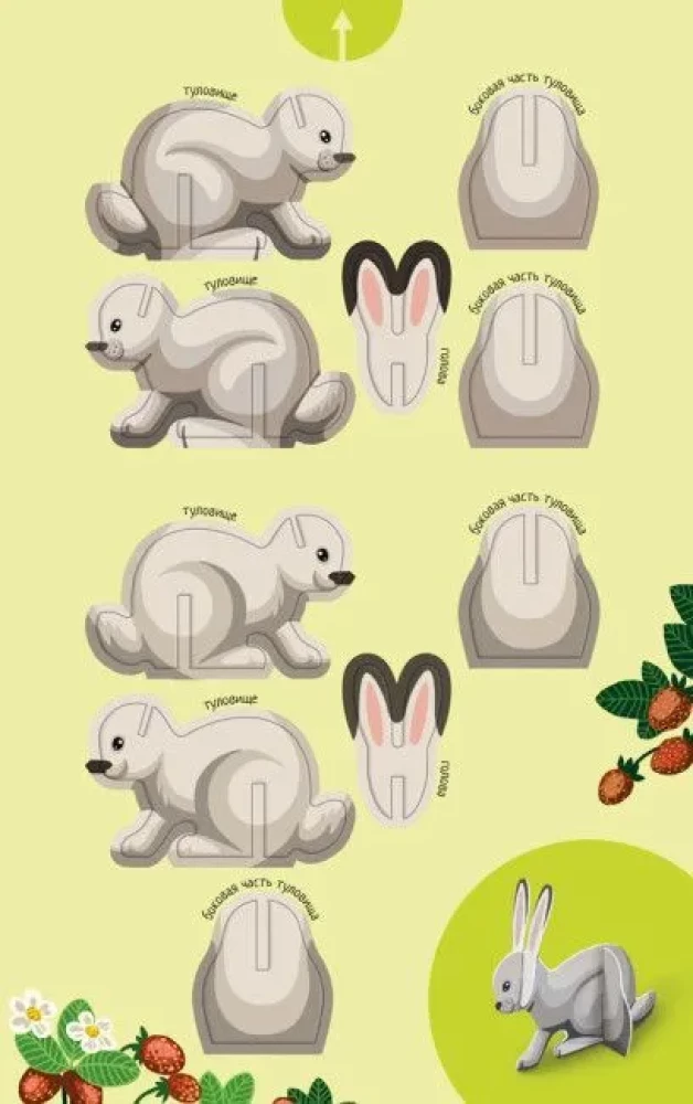 Animals of the Forest