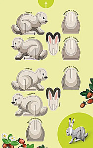 Animals of the Forest