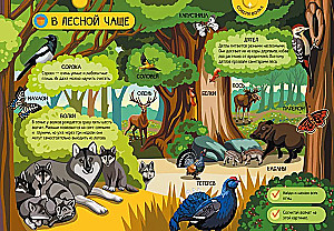 Animals of the Forest