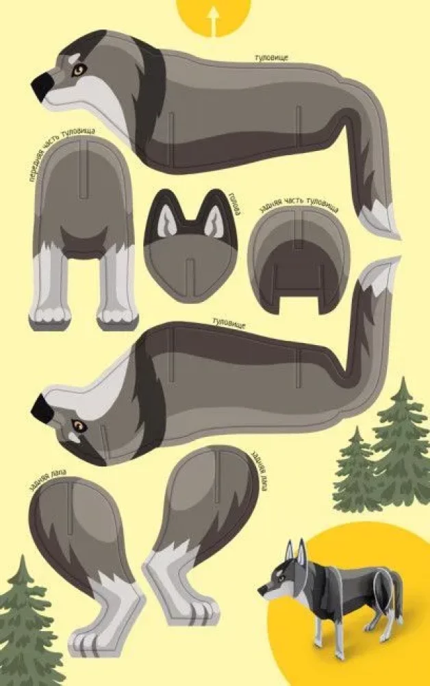 Animals of the Forest
