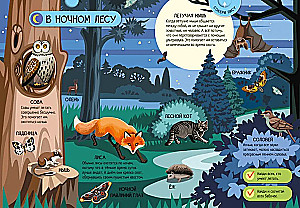 Animals of the Forest