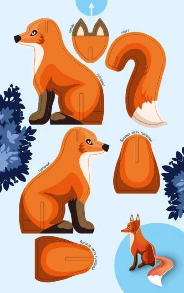 Animals of the Forest