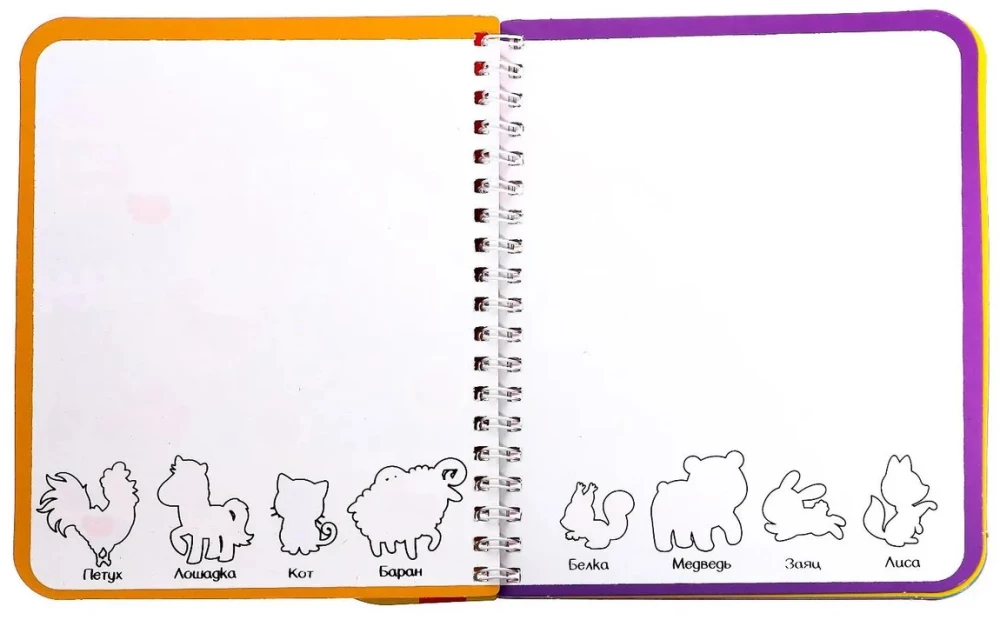 Drawing with Water. Color, Find and Show