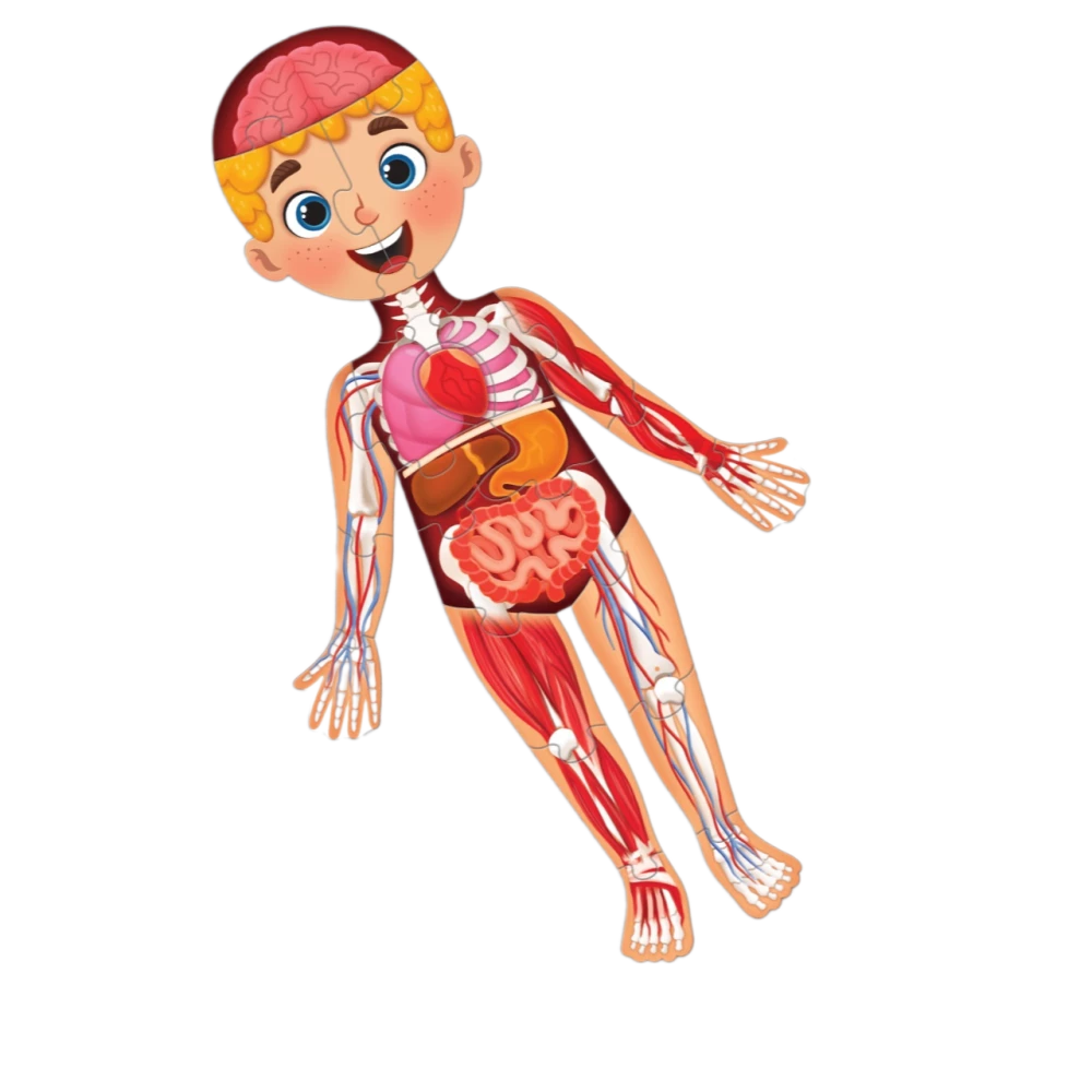 Set - My Body, Mega Puzzle with Educational Book