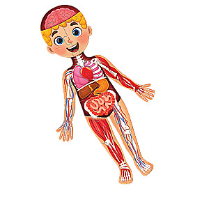 Set - My Body, Mega Puzzle with Educational Book