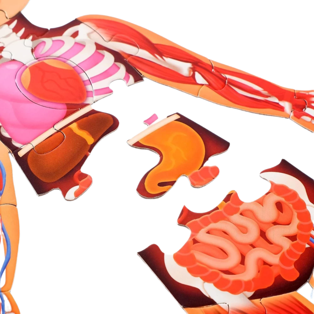 Set - My Body, Mega Puzzle with Educational Book