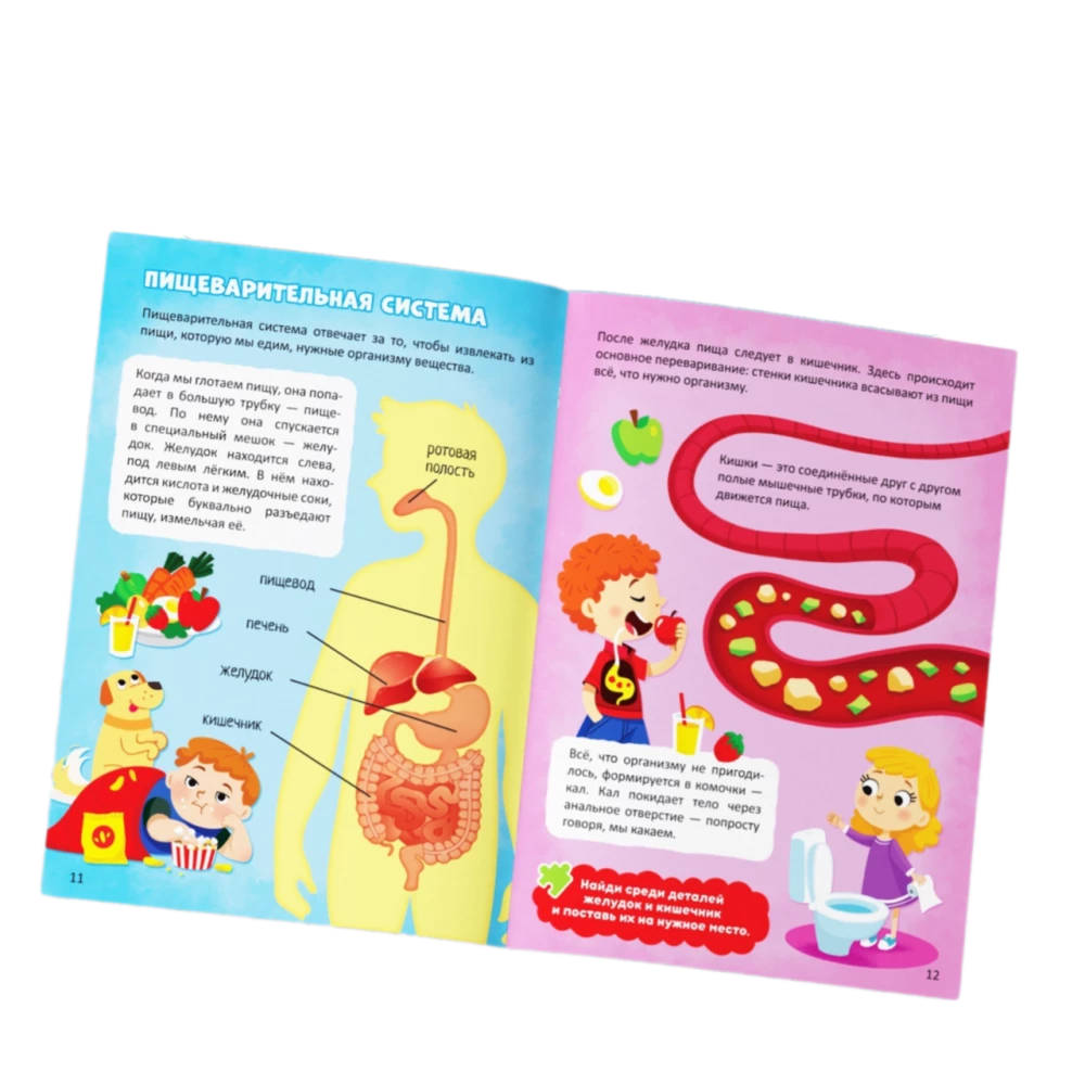 Set - My Body, Mega Puzzle with Educational Book