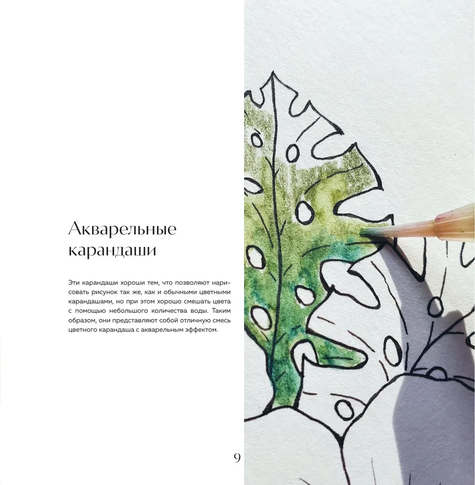 My Sweet Garden. Coloring 70 Flower Compositions and Detailed Patterns