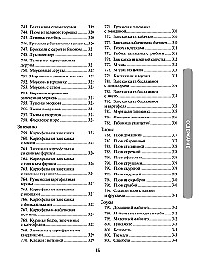 1000 recipes for every day. A large cookbook