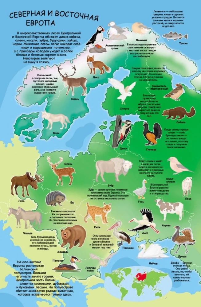 Sticker Album - Atlas of Animals