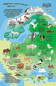 Sticker Album - Atlas of Animals