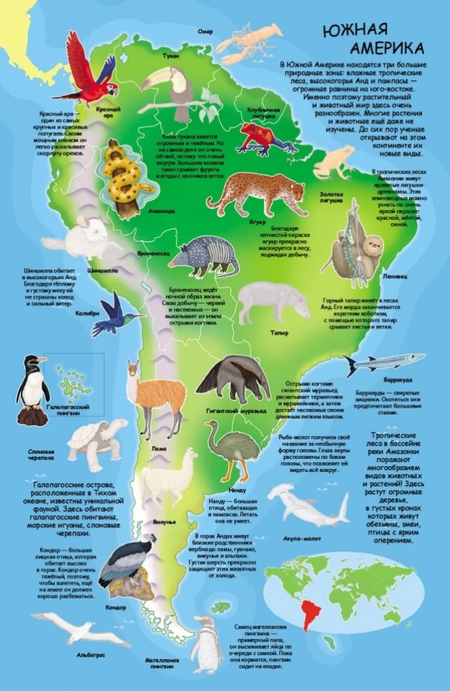 Sticker Album - Atlas of Animals