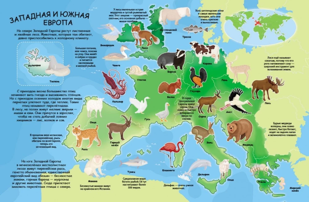 Sticker Album - Atlas of Animals