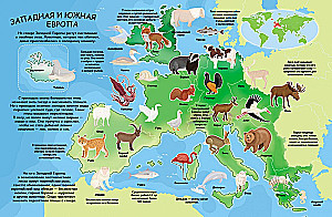 Sticker Album - Atlas of Animals