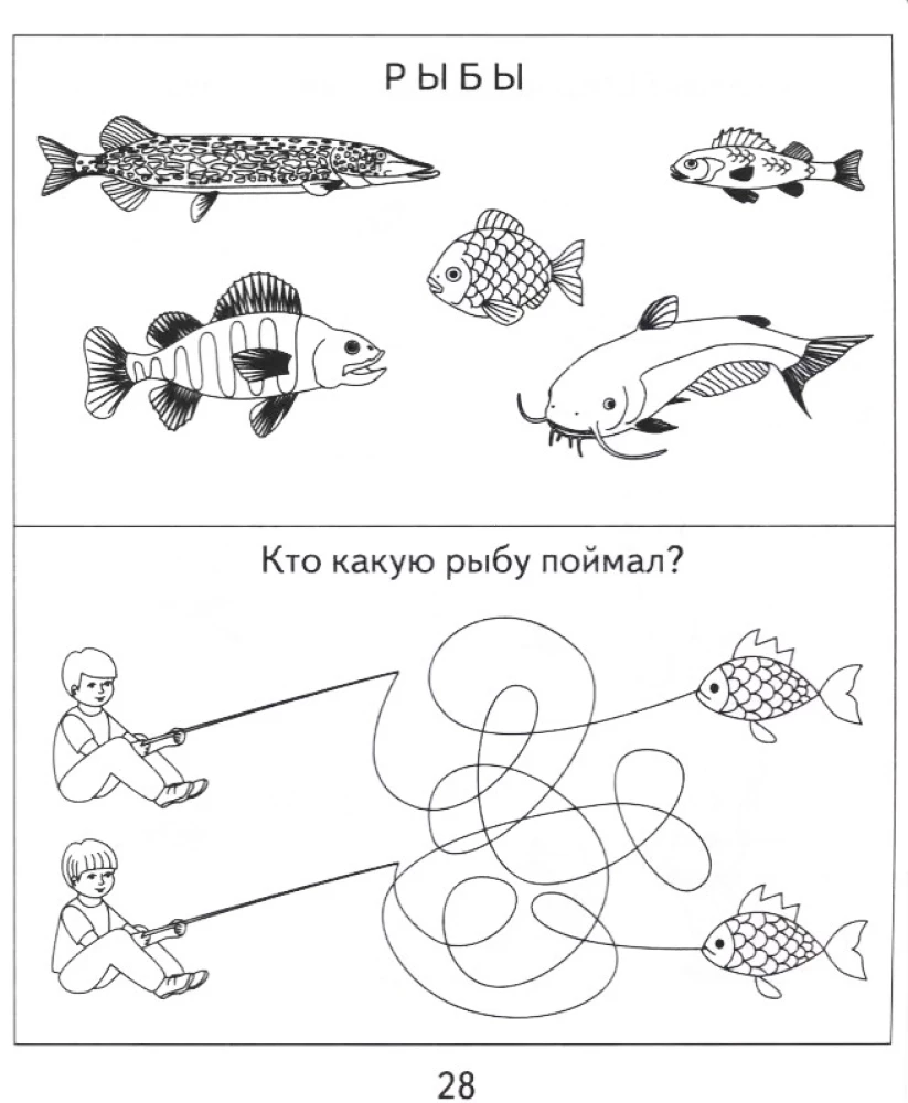 Workbook with Exercises - The World Around Us. Part 2. Nature