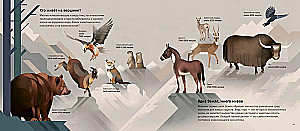 Mountains of the World