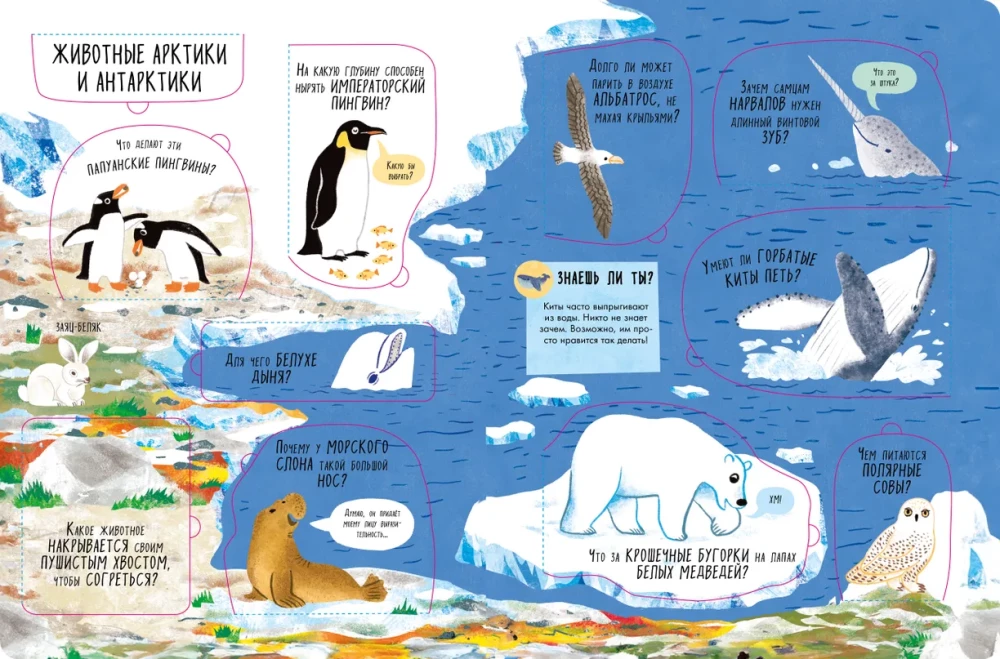 The Big Book with Windows. Animals
