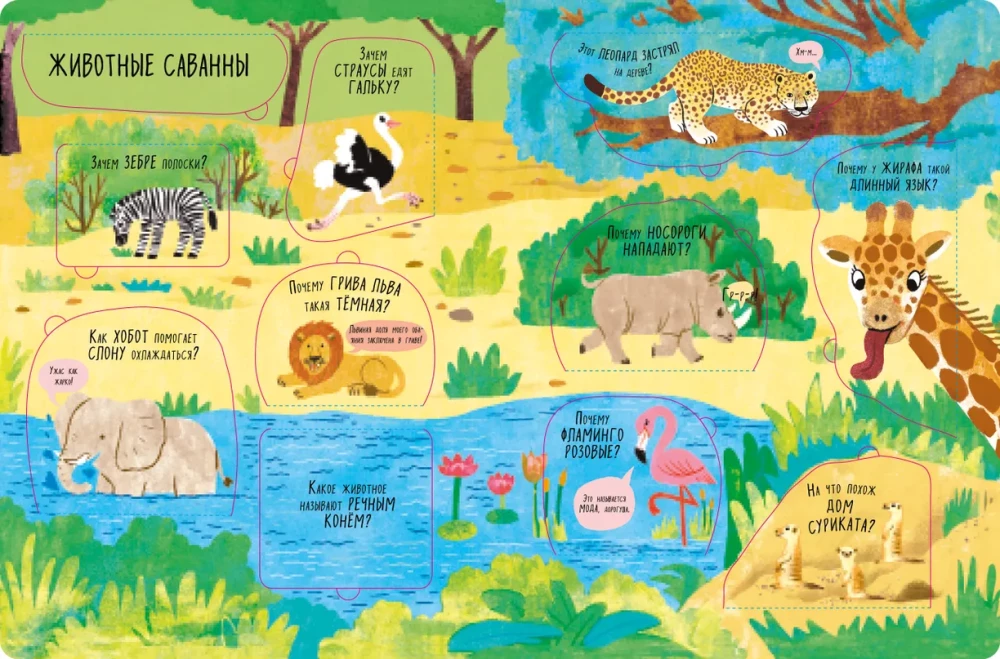 The Big Book with Windows. Animals