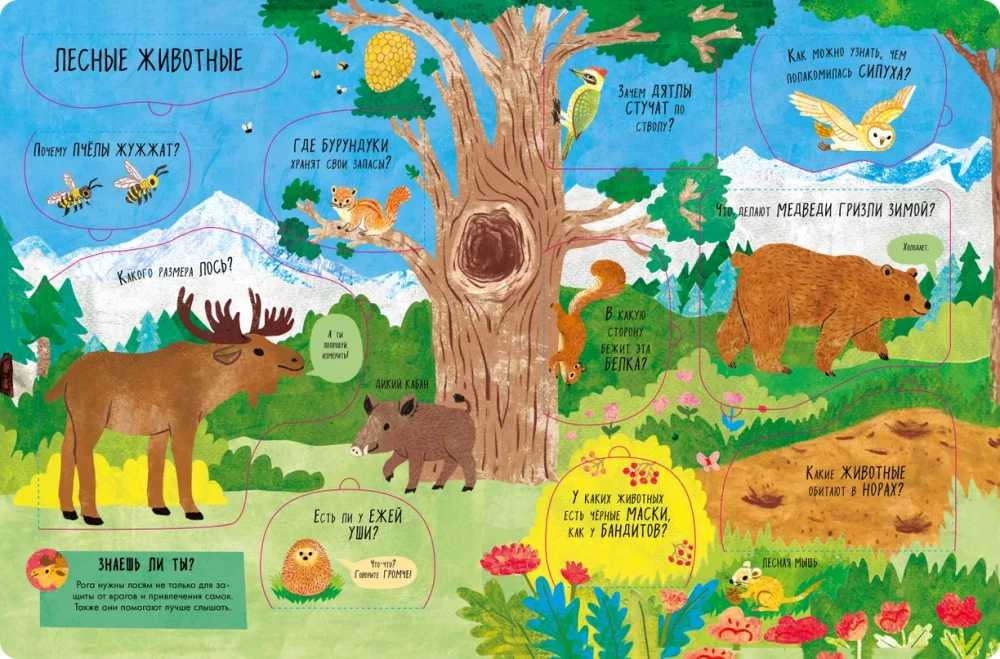 The Big Book with Windows. Animals