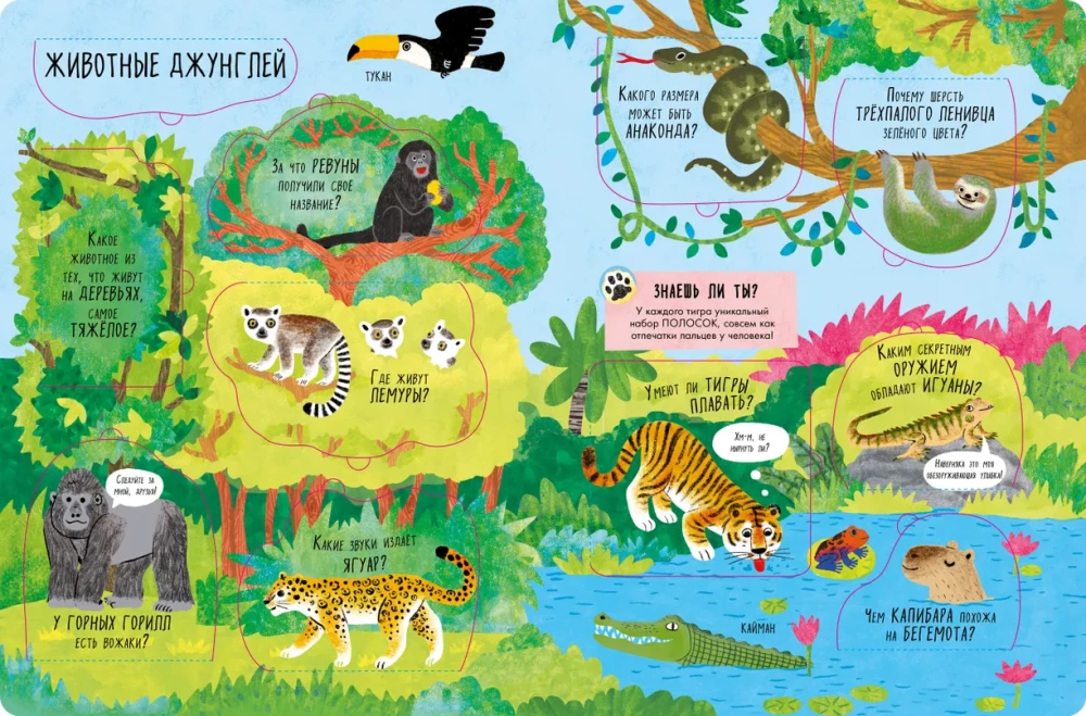 The Big Book with Windows. Animals