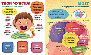 The Human Body