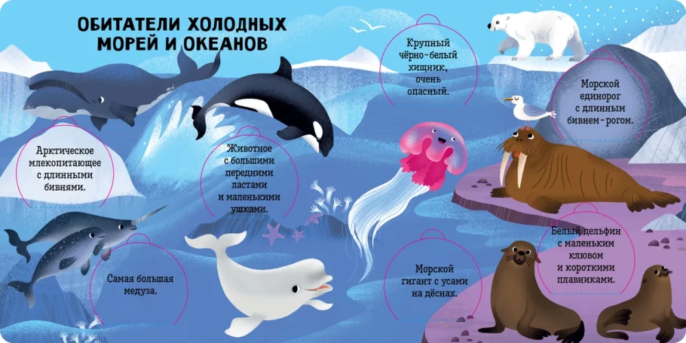 Oceans and Seas. Encyclopedia with Windows