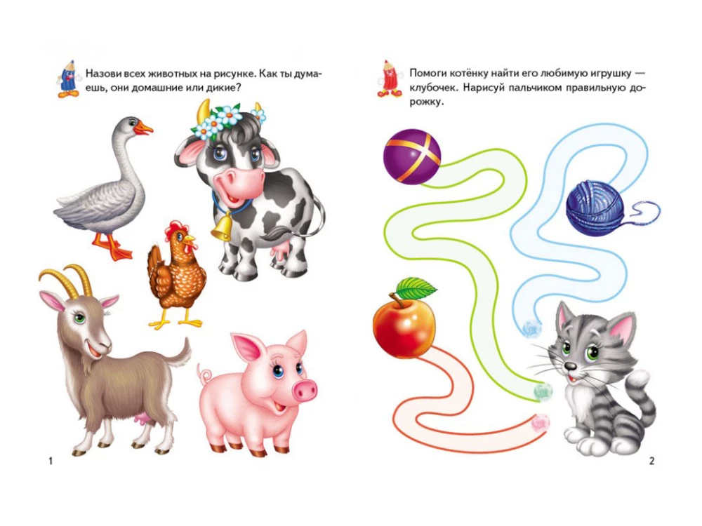 Activity Books. Pets