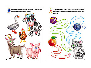 Activity Books. Pets