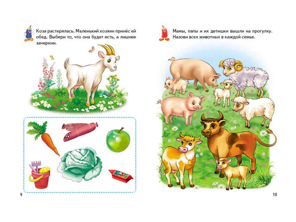 Activity Books. Pets