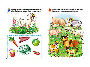 Activity Books. Pets
