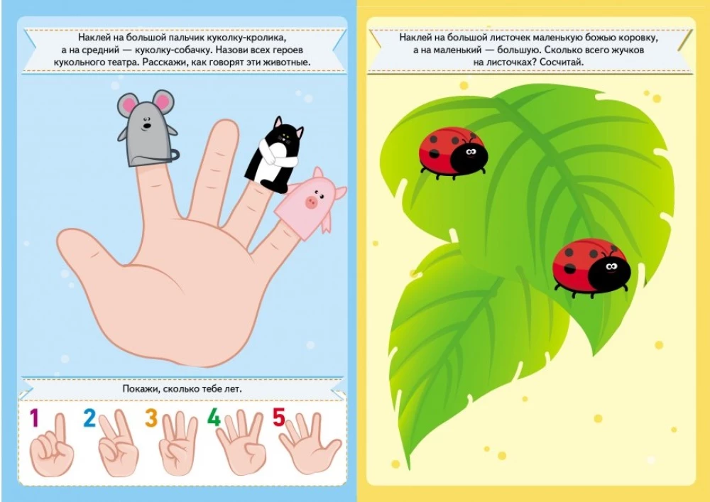 Developmental Tasks for Toddlers. Teddy Bear