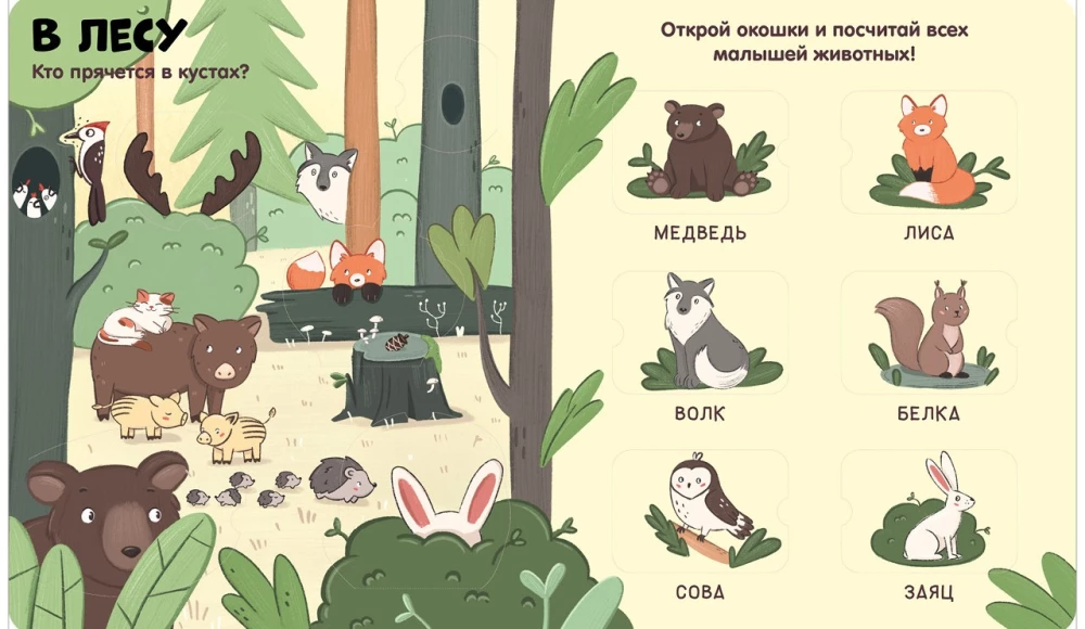 Animals