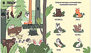 Animals