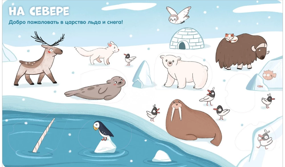 Animals