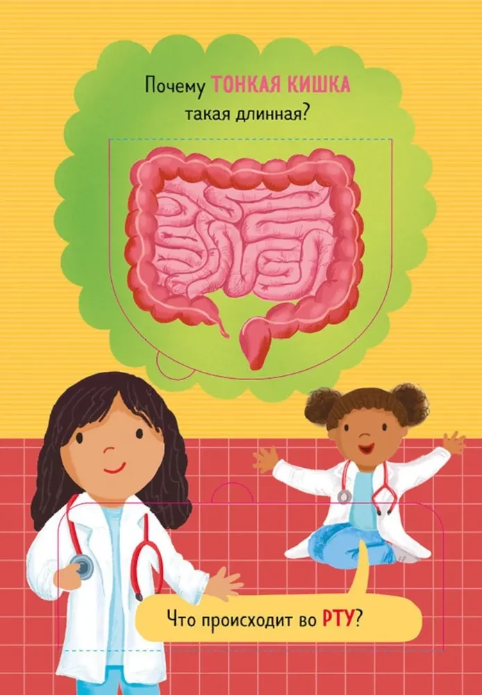 How the human body is structured. And other interesting questions