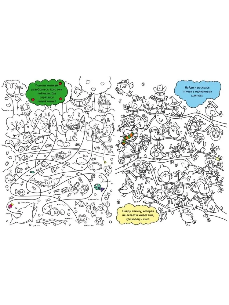 Drawing and Development. Sheep