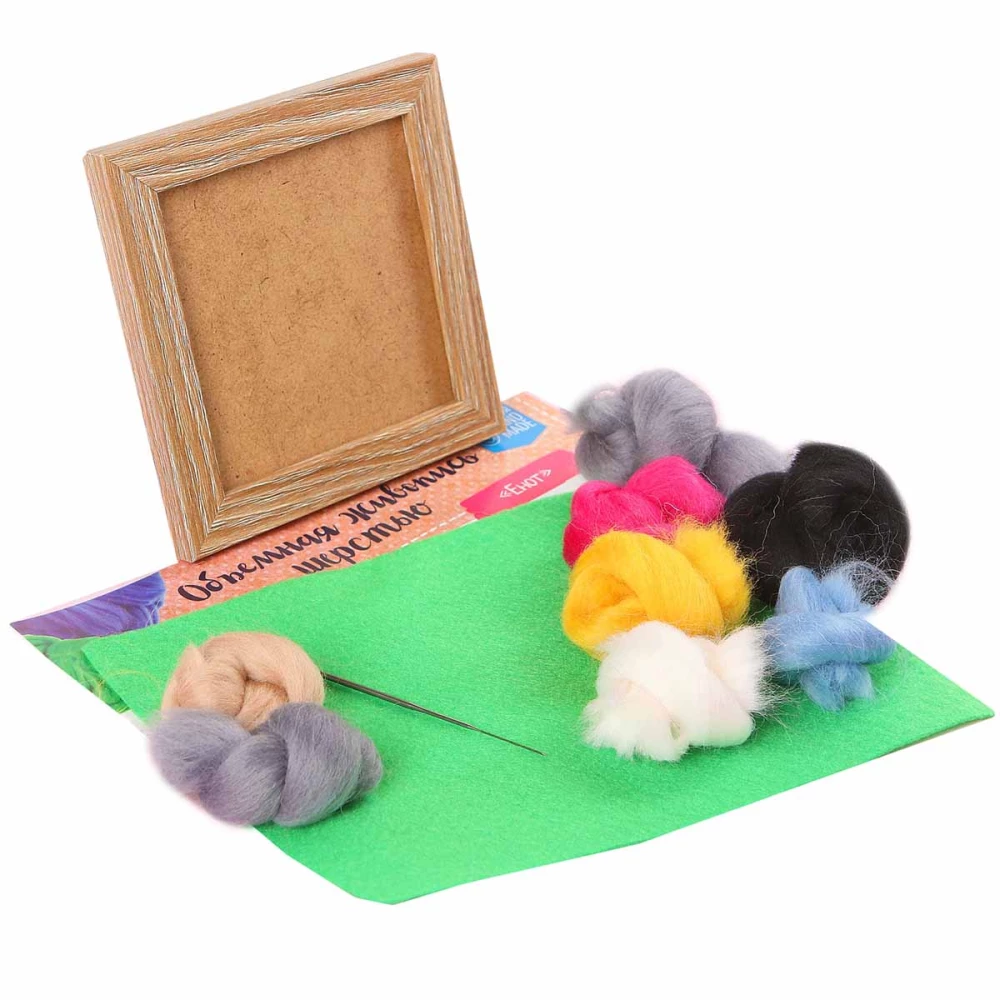 Creative Kit - 3D Painting with Wool. Raccoon