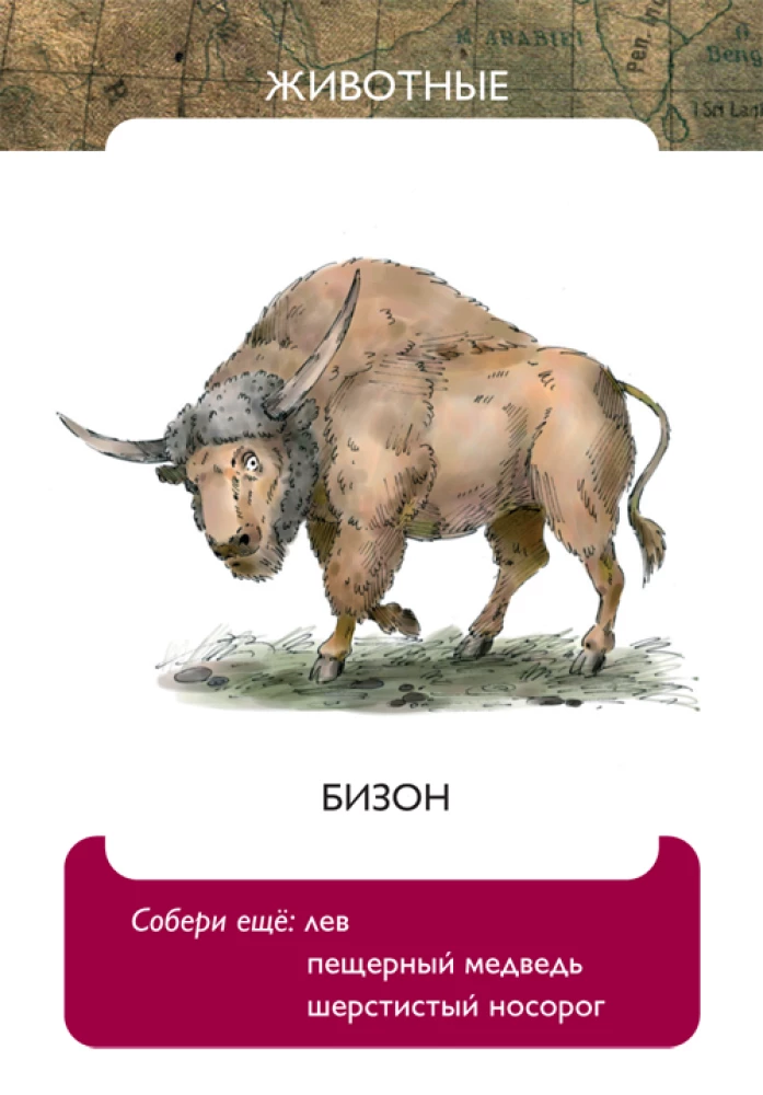 Development Card Game - Once Upon a Time in the Stone Age