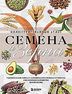 Seeds and Grains. Illustrated Atlas. Amazing Facts about Agricultural Crops and Their Impact on the Development of Humanity