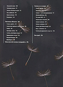 Seeds and Grains. Illustrated Atlas. Amazing Facts about Agricultural Crops and Their Impact on the Development of Humanity