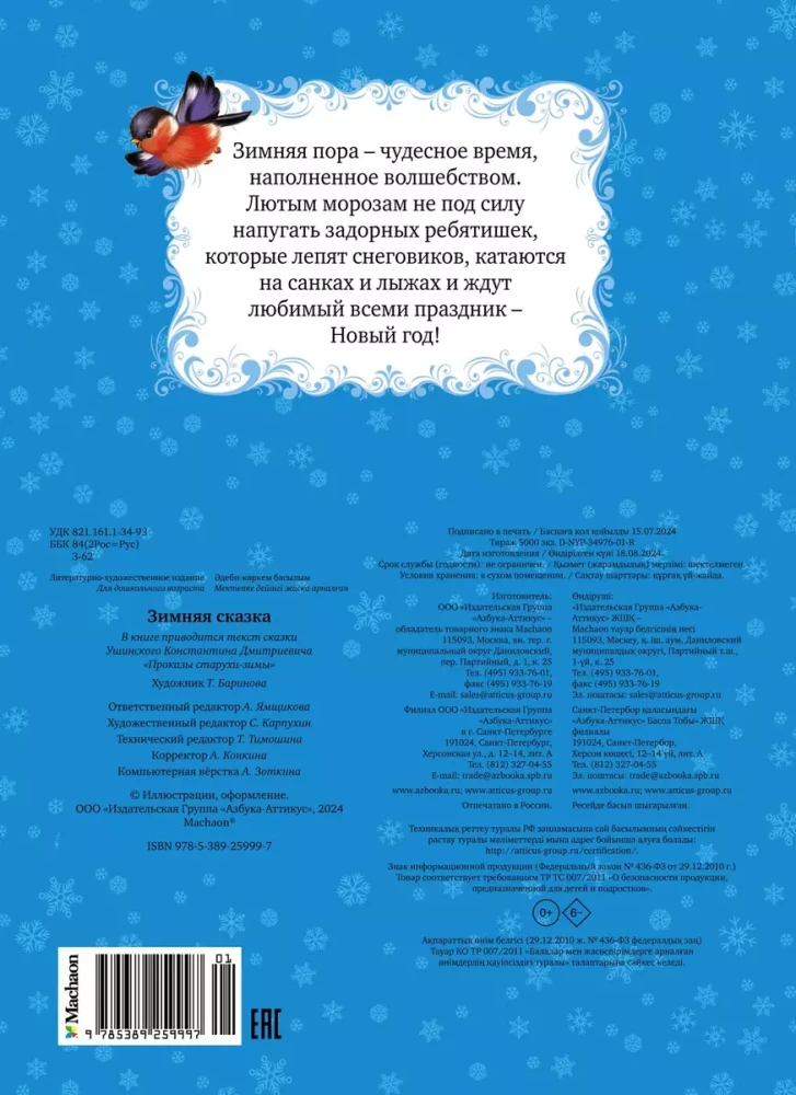 Winter Fairy Tale