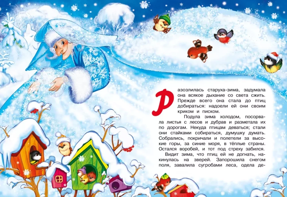 Winter Fairy Tale