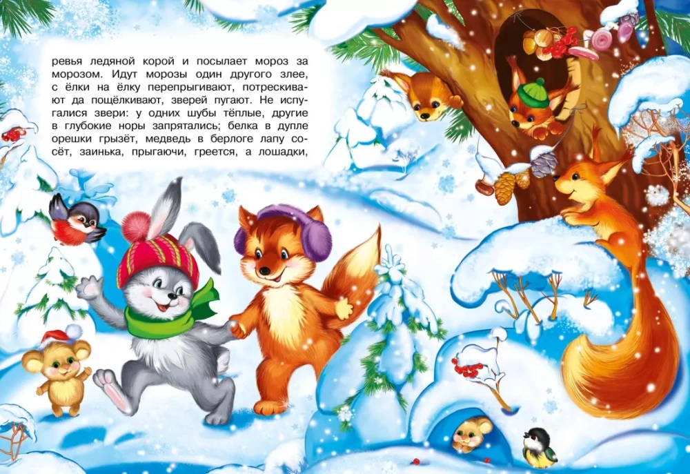 Winter Fairy Tale