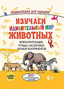Exploring the amazing world of animals