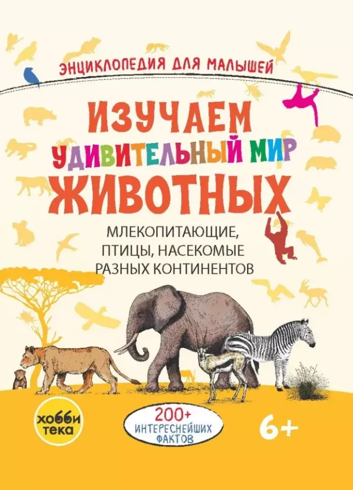 Die erstaunliche Welt der Tiere entdecken