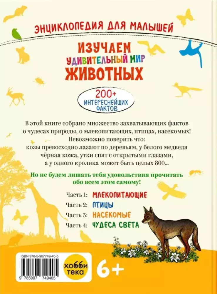 Exploring the amazing world of animals